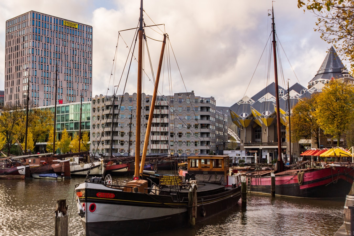 rdam haven